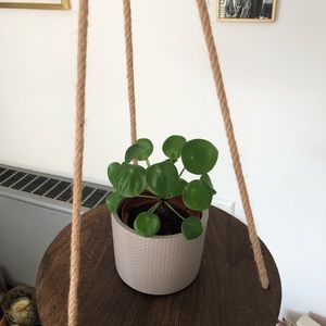 Hanging plant stand